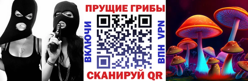Купить где  Торжок  Галлюциногенные грибы Psilocybine cubensis 
